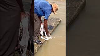 Fisherman Cast Net Fishing Real Life Amazing Fishing At Countryside.(Episode 138)