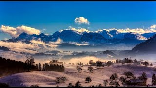 Beautiful Relaxing Music for Stress Relief - Peaceful Soothing Instrumental Music, "Winter Woods