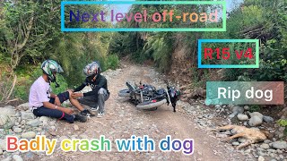 Badly crash | rip dog | next level off-road with Yamaha r15 v4 | @manjot483 |