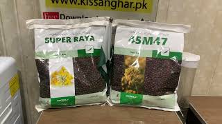 Super raya seed | mustard Seed | sarsoon seed | toria seed | fertilizer, crop technology Kisan Ghar