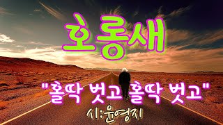 초롱새와 호롱새/Impertinence/윤영지