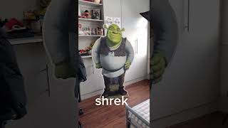 When a shrek obsession goes too far...