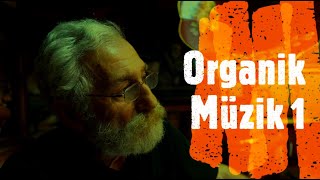 ORGANİK MÜZİK / 1.BÖLÜM  --- PLAK BELGESELİ ---- (TRT FİNALİSTİ)