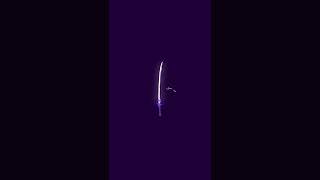 Raiden Shogun Polearm and Sword Animation