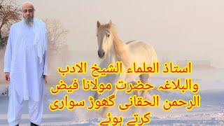 الشیخ الادب والبلاغہ حضرت مولانا فیض الرحمن الحقانی گھوڑ سواری کرتے ہوئے بہت خوبصورت انداز میں