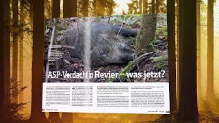 Heftvorschau WILD UND HUND-Ausgabe 20/18