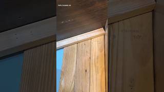 Tips of an old carpenter wood trim cut easily #woodworking #wood #woodwork #carpenter