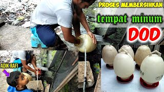 Proses membersihkan tempat minum DOD