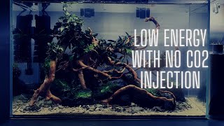 CINEMATIC STEP BY STEP AQUASCAPE | PERFECT FOR BEGINNERS | LOW ENERGY | LOW BUDGET 2021