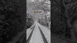 Quran recitation | Surah al rehman short video #shorts #quran #youtubeshorts #islamic #surahrahman✔️