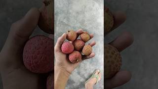 very pink and sweet lichi in assame