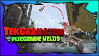 Unser Erster Raid = 850 Element Profit - PvP | Ark: Survival Evolved S2 E2