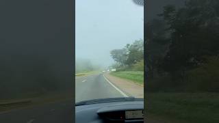 Muita neblina