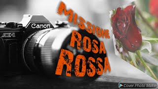 Missione rosa rossa..     (con partecipazione di Roberta)  TRIS