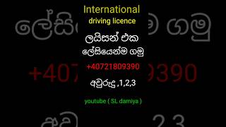 licence | #sldamiya | international driving licence