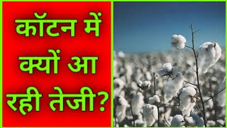 Why Cotton Yarn Price Rising | Cotton Yarn Price Hike | Delhi | Tirupur