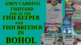 @rey cardino FISHYARD one of the FISH KEEPER and FISH BREEDER in BOHOL