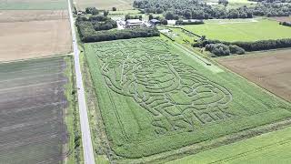 Skylark Maize maze launch