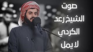 تلاوات ما قبل النوم تريح القلوب | صوت هادئ وخاشع جداً | الشيخ رعد محمد الكردي