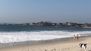 Brazilian Sunshine on Rio's Beaches