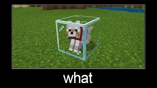 WAIT WHAT - Minecraft meme #11