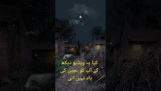 کسی نے سچ کہا ہے کہ بچپن کبھی واپس نہیں اتا