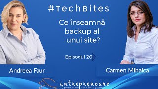 Ep. 20 - Wordpress - Ce înseamnă backup al unui site?