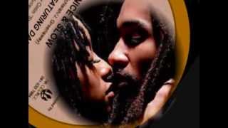 PURE SILK Feat  DAN-ELLE ~ NICE & SLOW (SIR GEORGE) REGGAE