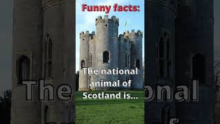 Funny facts Scotland! Iteresting👍,#short