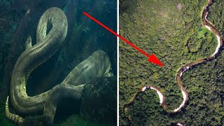 World of the Wild | Episode 1: The Amazon Rainforest | Free Documentary Nature | rainforest