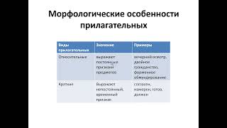 Сулейменова Д Р  Морфология научного стиля речи  Язык науки  Магистратура НПМ 1 курс