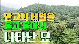 수암의 풍수기행 제293화 안동권씨 시조 권행 묘