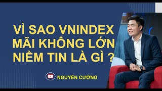 VÌ SAO VNINDEX MÃI KHÔNG LỚN VÀ NIỀM TIN TRONG ĐẦU TƯ LÀ GÌ ?