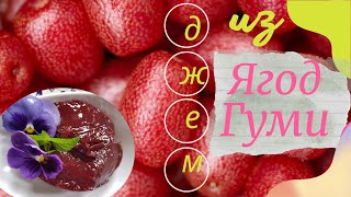 Вкусный Джем из Ягод ГУМИ с МАЛИНОЙ. Как растет Гуми и чем она полезна для здоровья.