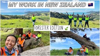 Forester Work in New Zealand 🇳🇿 (COMPILATION) (Vlog #4) #pinoynz