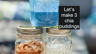 Let’s make 3 chia puddings!