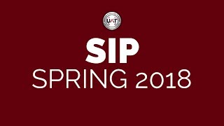 SIP Spring 2018 - Game Design & Game Art & Animation