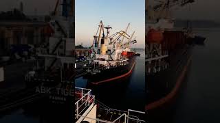 Ship Spotting ABK TIGER in Ukraine #shortvideo #seafarer #sailor #ukraine