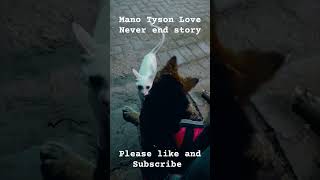 Tyson Mano Love🐕🐕🐈🐈🐱🐱