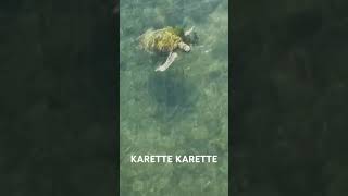 Karette karette