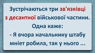 💠 Зв'язківниці із Десантної Частини! Українські Анекдоти та Українською! Епізод #311