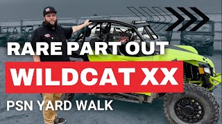 PSN Yard Walk: Rare Wildcat XX & More!