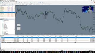 #Forex #Martingale - Lot Arttırma ve Kademe Sistemi Manuel Trade Otomatik Sistem ile Para Kazanın