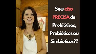 Quando usar probióticos, prebióticos e simbióticos na alimentação do seu cão?