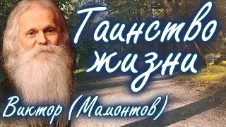 Это должен знать каждый! Тайны Жизни. Встреча с Богом. Виктор (Мамонтов)