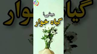 چگونه یک حشره باعث گیاه خواری میشه؟|حیات وحش علمی|#دانستنی #فکت #shorts