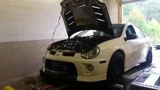 Neon SRT4 Dyno Day @Nigel's Shop