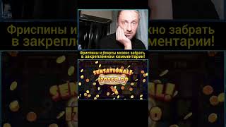 Зубарев сломал слот! #заносынедели #казино #casino #казиноонлайн #папич #зубарев #thedoghouse