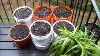 Apartment Balcony Gardening DIY IV | Spring Prep