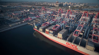 Long Beach Container Terminal | Navis + THEM!